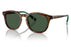 Miniatura2 - Gafas de Sol Polo Ralph Lauren 0PH4206 Hombre Color Havana