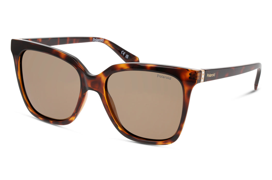 Vista1 - Gafas de Sol Polaroid PLD 4155/S/X Unisex Color Havana