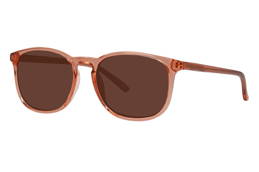 Gafas de Sol Seen 0NE6007 Unisex Color Café