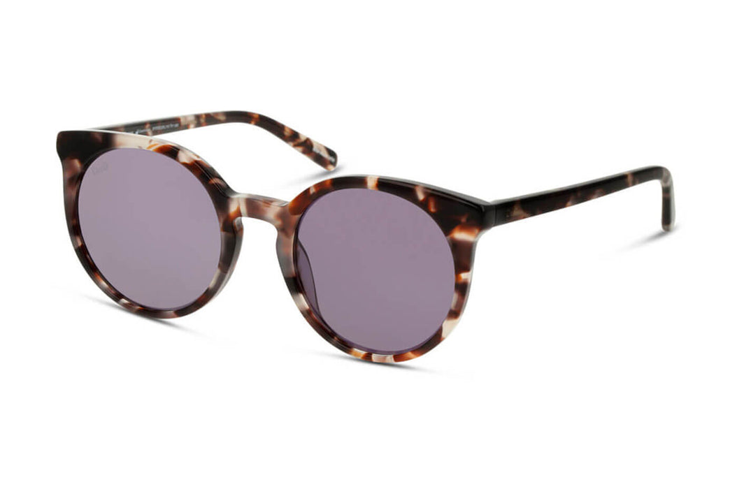 Vista1 - Gafas de Sol DbyD DBSF5015 Unisex Color Havana