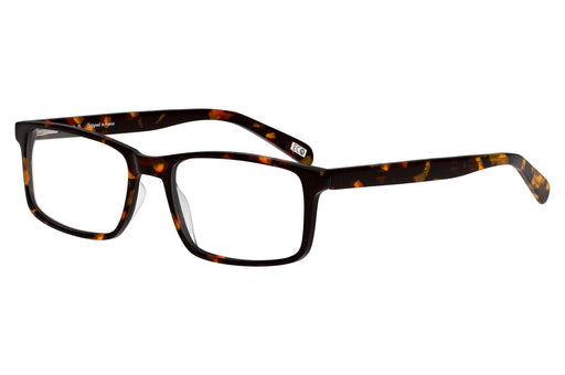 Gafas oftálmicas DbyD CL_DBOM0022 Hombre Color Havana