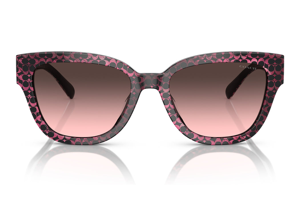 Gafas de Sol Coach 0HC8379U Unisex Color Rosado