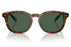 Miniatura1 - Gafas de Sol Polo Ralph Lauren 0PH4206 Hombre Color Havana