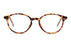 Miniatura1 - Gafas oftálmicas Seen SNOU5006 Mujer Color Havana