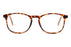 Miniatura1 - Gafas oftálmicas Seen CL_SNOU5003 Hombre Color Havana