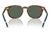 Miniatura4 - Gafas de Sol Polo Ralph Lauren 0PH4206 Hombre Color Havana