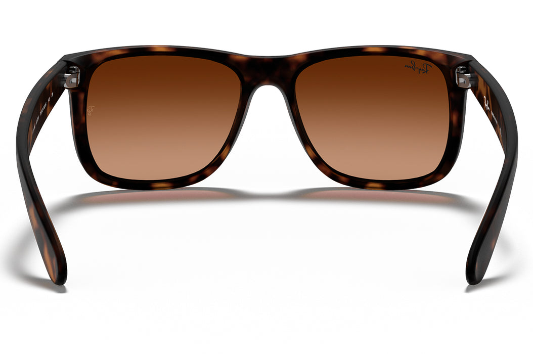 Vista3 - Gafas de Sol Ray Ban 0RB4165 Unisex Color Havana