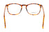 Miniatura4 - Gafas oftálmicas Seen CL_SNOU5003 Hombre Color Havana