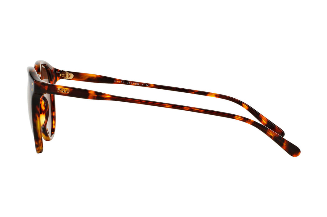Vista3 - Gafas de Sol Polo Ralph Lauren 0PH4110 Unisex Color Havana